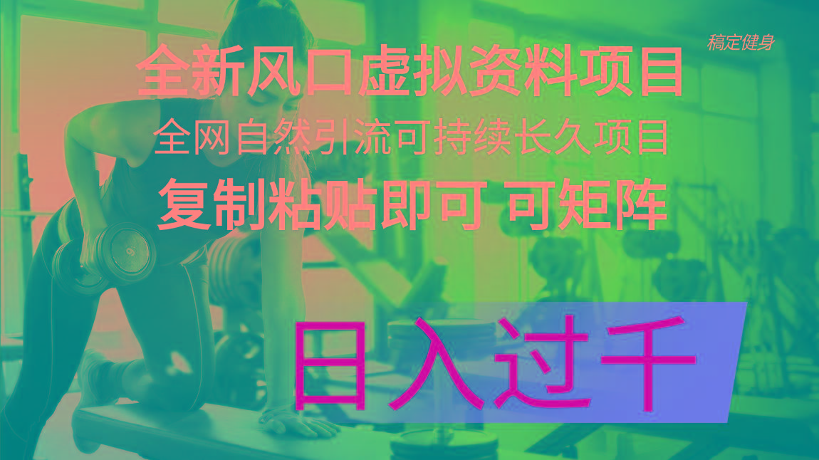 全新风口虚拟资料项目 全网自然引流可持续长久项目 复制粘贴即可可矩阵…-有道资源网