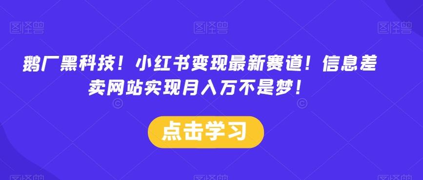 鹅厂黑科技！小红书变现最新赛道！信息差卖网站实现月入万不是梦！-有道资源网