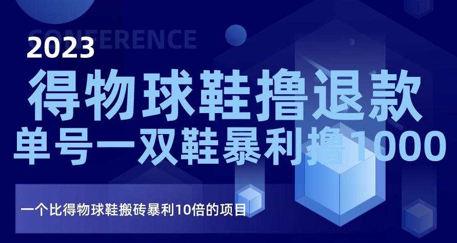 2023得物球鞋撸退款，单号一双鞋暴利撸1000，一个比得物球鞋搬砖暴利10倍的项目【揭秘】-有道资源网