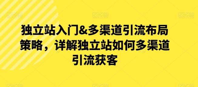 独立站入门&多渠道引流布局策略，详解独立站如何多渠道引流获客-有道资源网