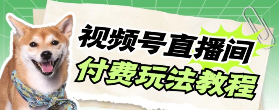 视频号美女付费无人直播，轻松日入500+【详细玩法教程】-有道资源网