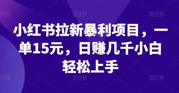 小红书拉新暴利项目，一单15元，日赚几千小白轻松上手【揭秘】-有道资源网