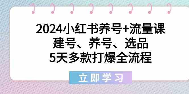 2024小红书养号+流量课：建号、养号、选品，5天多款打爆全流程-有道资源网