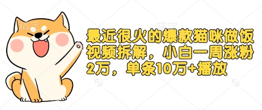 最近很火的爆款猫咪做饭视频拆解，小白一周涨粉2万，单条10万+播放(附保姆级教程)-有道资源网