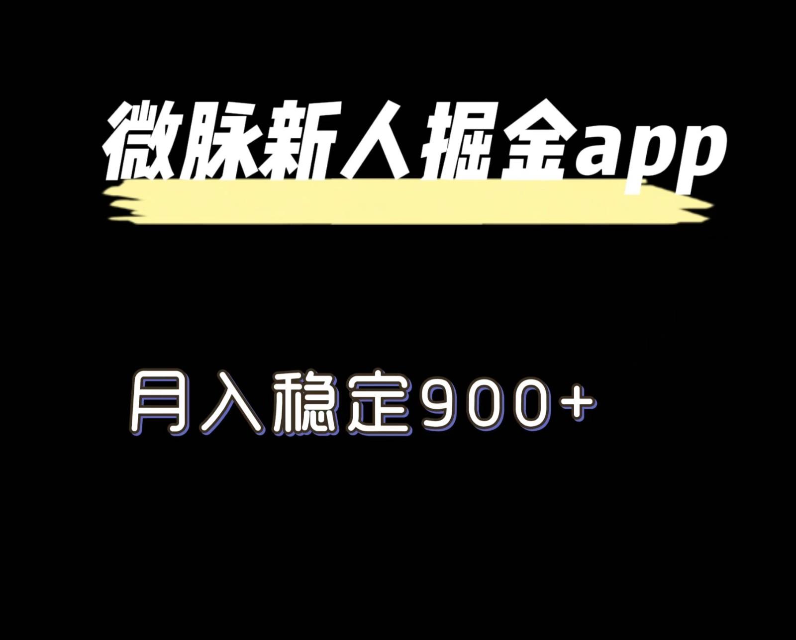 最新微脉长久项目，拉新掘金，月入稳定900+-有道资源网