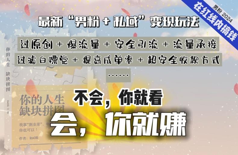 2024，“男粉+私域”还是最耐造、最赚、最轻松、最愉快的变现方式【揭秘】-有道资源网