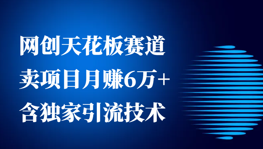 网创天花板赛道，卖项目月赚6万+，含独家引流技术(共26节课)-有道资源网