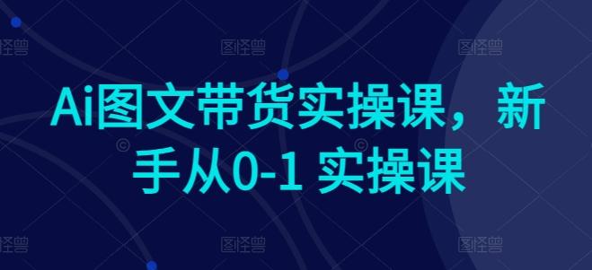 Ai图文带货实操课，新手从0-1 实操课-有道资源网