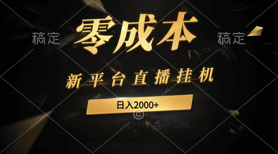 (9841期)新平台直播挂机最新玩法，0成本，不违规，日入2000+-有道资源网