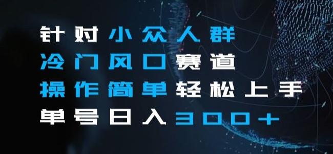 针对小众人群冷门风口赛道，操作简单轻松上手单号日入300+-有道资源网