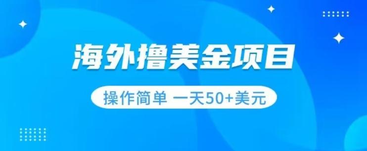 撸美金项目无门槛操作简单小白一天50+美刀-有道资源网