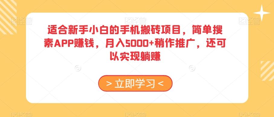 适合新手小白的手机搬砖项目，简单搜素APP赚钱，月入5000+稍作推广，还可以实现躺赚【揭秘】-有道资源网