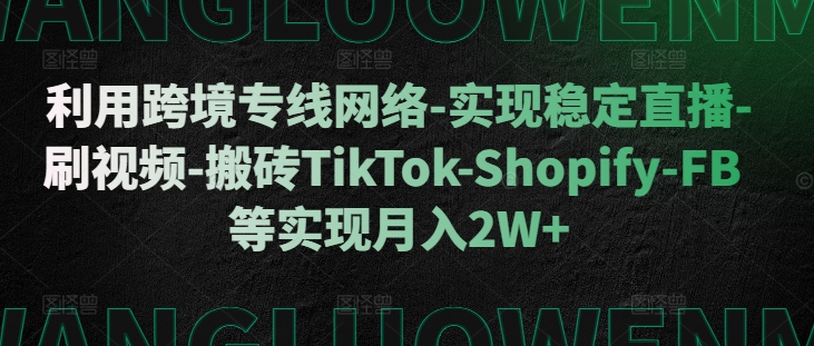 利用跨境专线网络-实现稳定直播-刷视频-搬砖TikTok-Shopify-FB等实现月入2W+【揭秘】-有道资源网