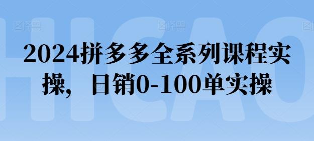 2024拼多多全系列课程实操，日销0-100单实操【必看】-有道资源网