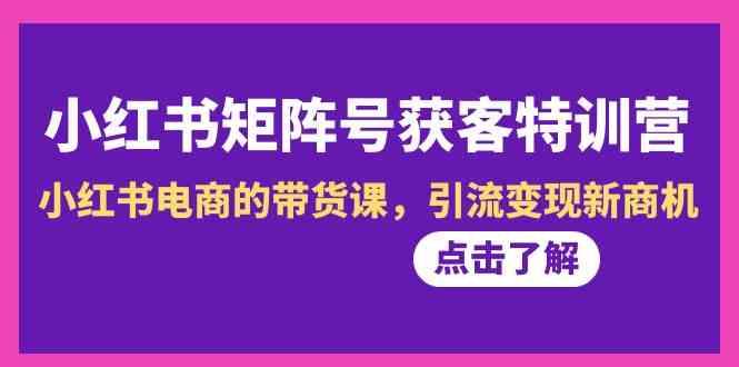 小红书矩阵号获客特训营-第10期，小红书电商的带货课，引流变现新商机-有道资源网