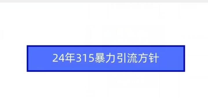 24年315暴力引流方针-有道资源网