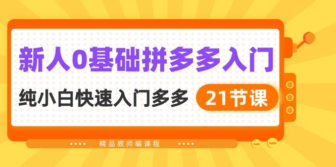 新人0基础拼多多入门，​纯小白快速入门多多(21节课-有道资源网