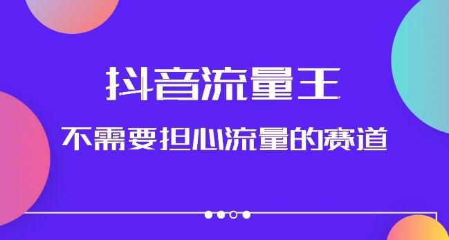 抖音流量王，不需要担心流量的赛道，美女图文音乐号升级玩法（附实操+养号流程）-有道资源网