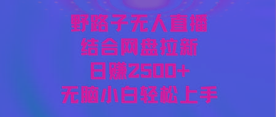 无人直播野路子结合网盘拉新，日赚2500+多平台变现，小白无脑轻松上手操作-有道资源网