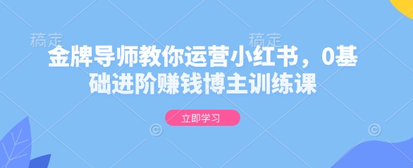 金牌导师教你运营小红书，0基础进阶赚钱博主训练课-有道资源网