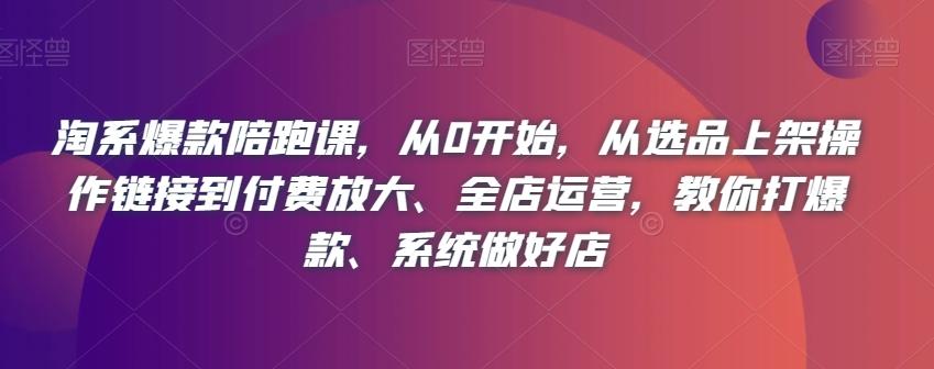 淘系爆款陪跑课，从0开始，从选品上架操作链接到付费放大、全店运营，教你打爆款、系统做好店-有道资源网