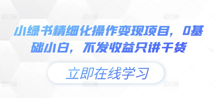 小绿书精细化操作变现项目，0基础小白，不发收益只讲干货-有道资源网