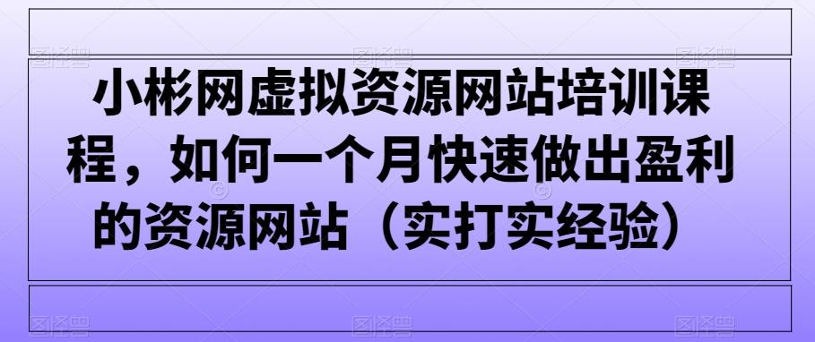 小彬网虚拟资源网站培训课程，如何一个月快速做出盈利的资源网站(实打实经验)-有道资源网