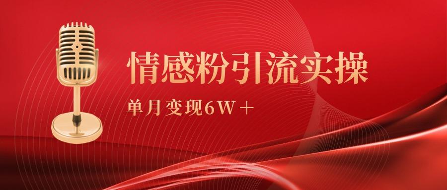 (9473期)单月变现6w+，情感粉引流变现实操课-有道资源网