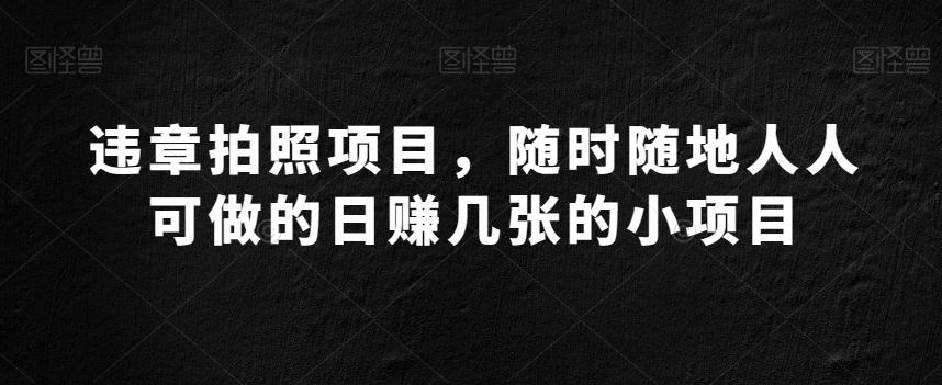 违章拍照项目，随时随地人人可做的日赚几张的小项目-有道资源网