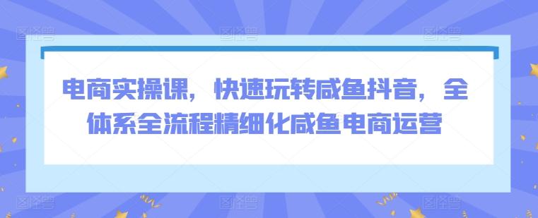 电商实操课，快速玩转咸鱼抖音，全体系全流程精细化咸鱼电商运营-有道资源网