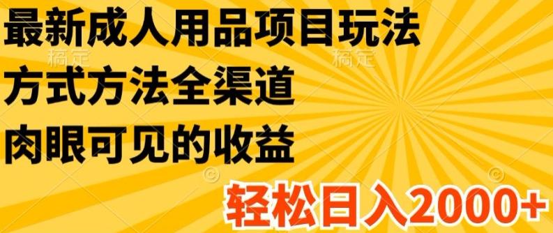 最新成人用品项目玩法，方式方法全渠道，轻松日入2K+【揭秘】-有道资源网