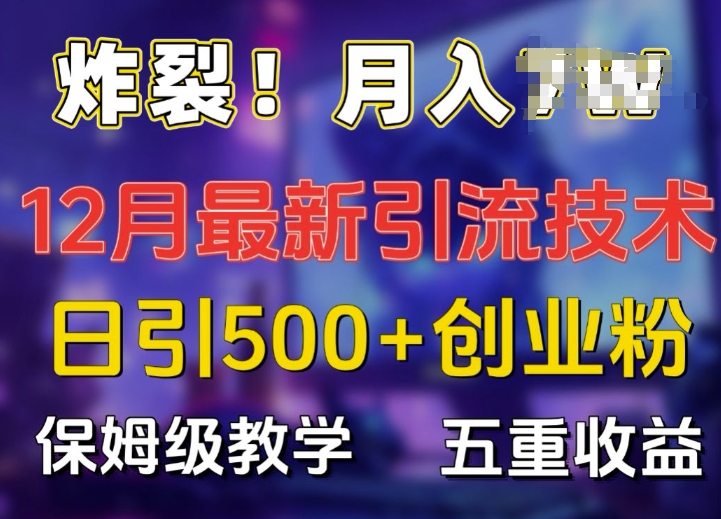 炸裂!揭秘12月最新日引流500+精准创业粉，多重收益保姆级教学-有道资源网