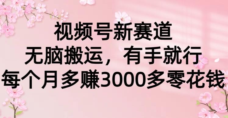 (9278期)视频号新赛道，无脑搬运，有手就行，每个月多赚3000多零花钱-有道资源网