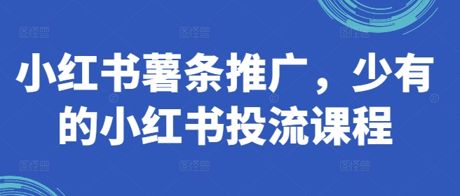 小红书薯条推广，少有的小红书投流课程-有道资源网