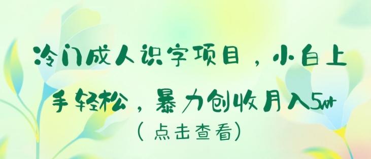 冷门成人识字项目，小白上手轻松，暴力创收月入5w+【揭秘】-有道资源网