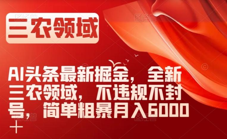 AI头条最新掘金，全新三农领域，不违规不封号，简单粗暴月入6000＋【揭秘】-有道资源网