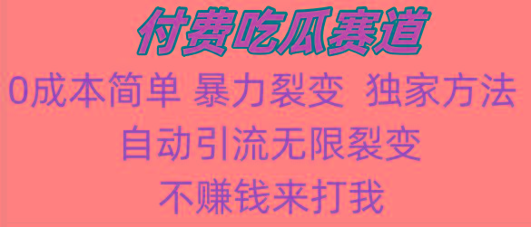 吃瓜付费赛道，暴力无限裂变，0成本，实测日入700+！！！-有道资源网