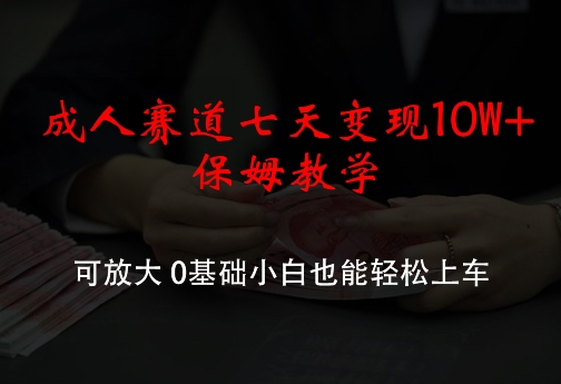 成人赛道七天变现10W+保姆教学，可放大，0基础小白也能轻松上车【揭秘】-有道资源网