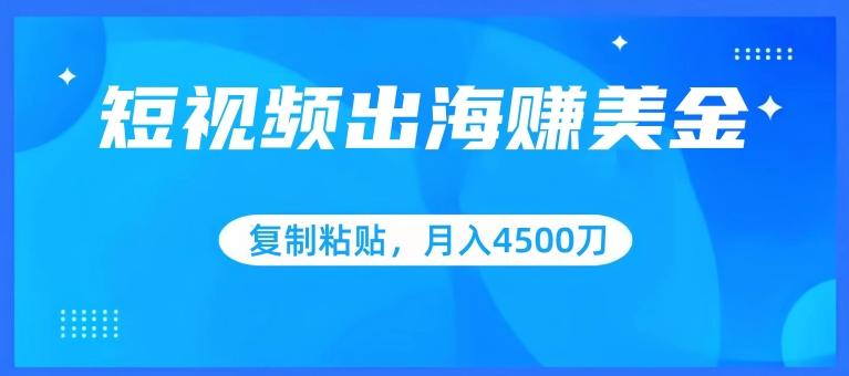 短视频出海赚美金，复制粘贴批量操作，小白轻松掌握，月入4500美刀【揭秘】-有道资源网