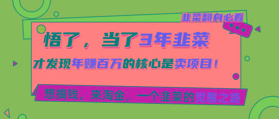 悟了，当了3年韭菜，才发现网赚圈年赚100万的核心是卖项目，含泪分享！-有道资源网