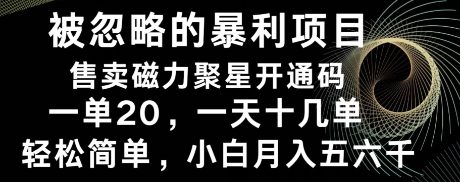 被忽略的暴利项目！售卖磁力聚星开通码，一单20，一天十几单，轻松月入五六千-有道资源网