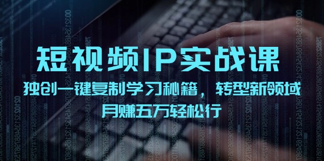 短视频IP实战课，独创一键复制学习秘籍，转战新领域，月赚五万轻松行-有道资源网