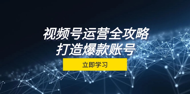 视频号运营全攻略，从定位到成交一站式学习，视频号核心秘诀，打造爆款…-有道资源网