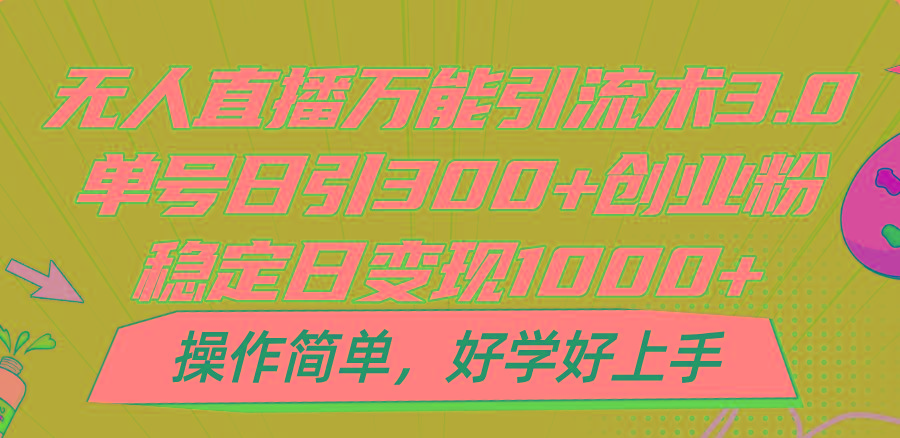 无人直播万能引流术3.0，单号日引300+创业粉，稳定日变现1000+，操作简单-有道资源网