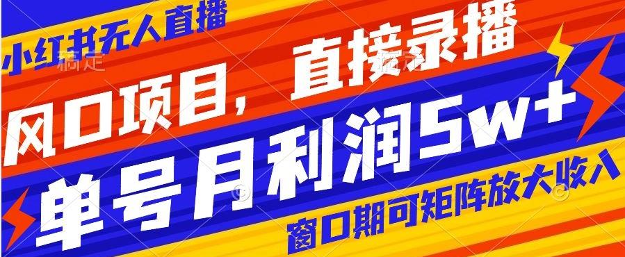 风口项目，小红书无人直播带货，直接录播，可矩阵，月入5w+【揭秘】-有道资源网