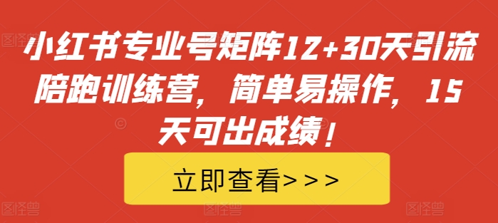 小红书专业号矩阵12+30天引流陪跑训练营，简单易操作，15天可出成绩!-有道资源网