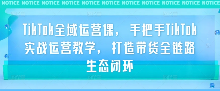 TikTok全域运营课，手把手TikTok实战运营教学，打造带货全链路生态闭环-有道资源网