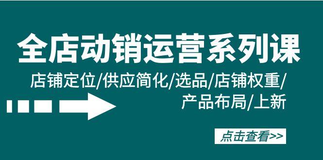 (9845期)全店·动销运营系列课：店铺定位/供应简化/选品/店铺权重/产品布局/上新-有道资源网