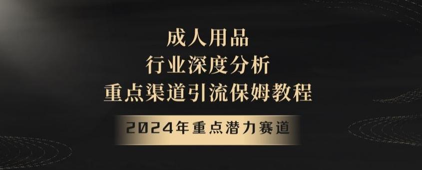 2024年重点潜力赛道，成人用品行业深度分析，重点渠道引流保姆教程【揭秘】-有道资源网