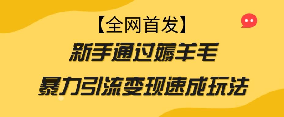 【全网首发】新手通过薅羊毛暴力引流变现速成玩法-有道资源网